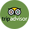 Tripadvisor Reviews